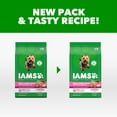 thumbnail image 3 of IAMS Proactive Health Small Breed Adult Chicken & Whole Grain Dry Dog Food 5 lb Bag, 3 of 11