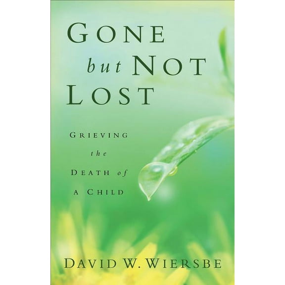 Gone But Not Lost: Grieving the Death of a Child, (Paperback)