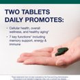 thumbnail image 5 of Metagenics PhytoMulti Multivitamin Without Iron-Daily Multi for Men & Women with 20+ Vitamins, Minerals & Phytonutrients for Antioxidant & Immune Support-Non-GMO, Gluten-Free - 60 Tablets, 5 of 9