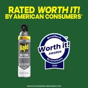 Raid Defend Outdoor Defense System Wasp and Hornet Bug Spray Outdoor Insect Killer, 17.5 oz.