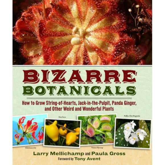 Bizarre Botanicals : How to Grow String-of-hearts, Jack-in-the-pulpit, Panda Ginger, and Other Weird and Wonderful Plants