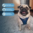 thumbnail image 2 of Malla Harness Best Pet Supplies para todo tipo de clima para perros pequeños y medianos, gatos, azul y negro, ribete XS, 2 of 8