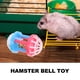thumbnail image 5 of 10pcs Hámster Toy Sound Toy para hámster cilindro bola de tigas de indias tocad, 5 of 6