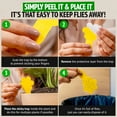 thumbnail image 4 of Fungus Gnat Traps - 60 Pack, Highly Effective Gnat Traps for House Indoor, Yellow Sticky Trap for Plants, Non-Toxic & Nature-Friendly, Up to 3 Months, 4 of 7