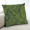 thumbnail image 1 of Ahgly Company Color Focus Green Indoor Throw Pillow, 18 inch by 18 inch, 1 of 6