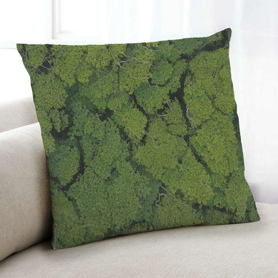 Ahgly Company Color Focus Green Indoor Throw Pillow, 18 inch by 18 inch