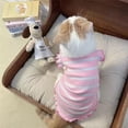 thumbnail image 2 of Adorable Pet Clothes for Cats & Small Dogs - Charming Spring & Autumn Wear, 2 of 3