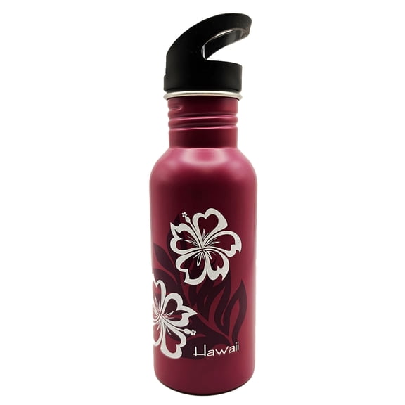 Ajw, Inc 20 oz Stainless Steel Insulated Tumbler with Lid for Travel