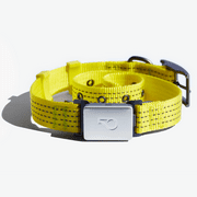Whistle Switch Smart Collar Kit - GPS location, Health & Fitness - Waterproof GPS Pet Tracker with interchangeable batteries, Athleisure (Yellow), M/L