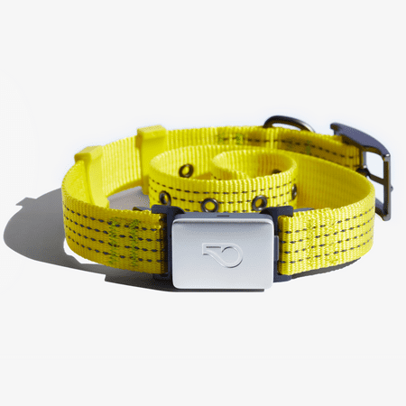 Whistle Switch Smart Collar Kit - GPS location, Health & Fitness - Waterproof GPS Pet Tracker with interchangeable batteries, Athleisure (Yellow), M/L