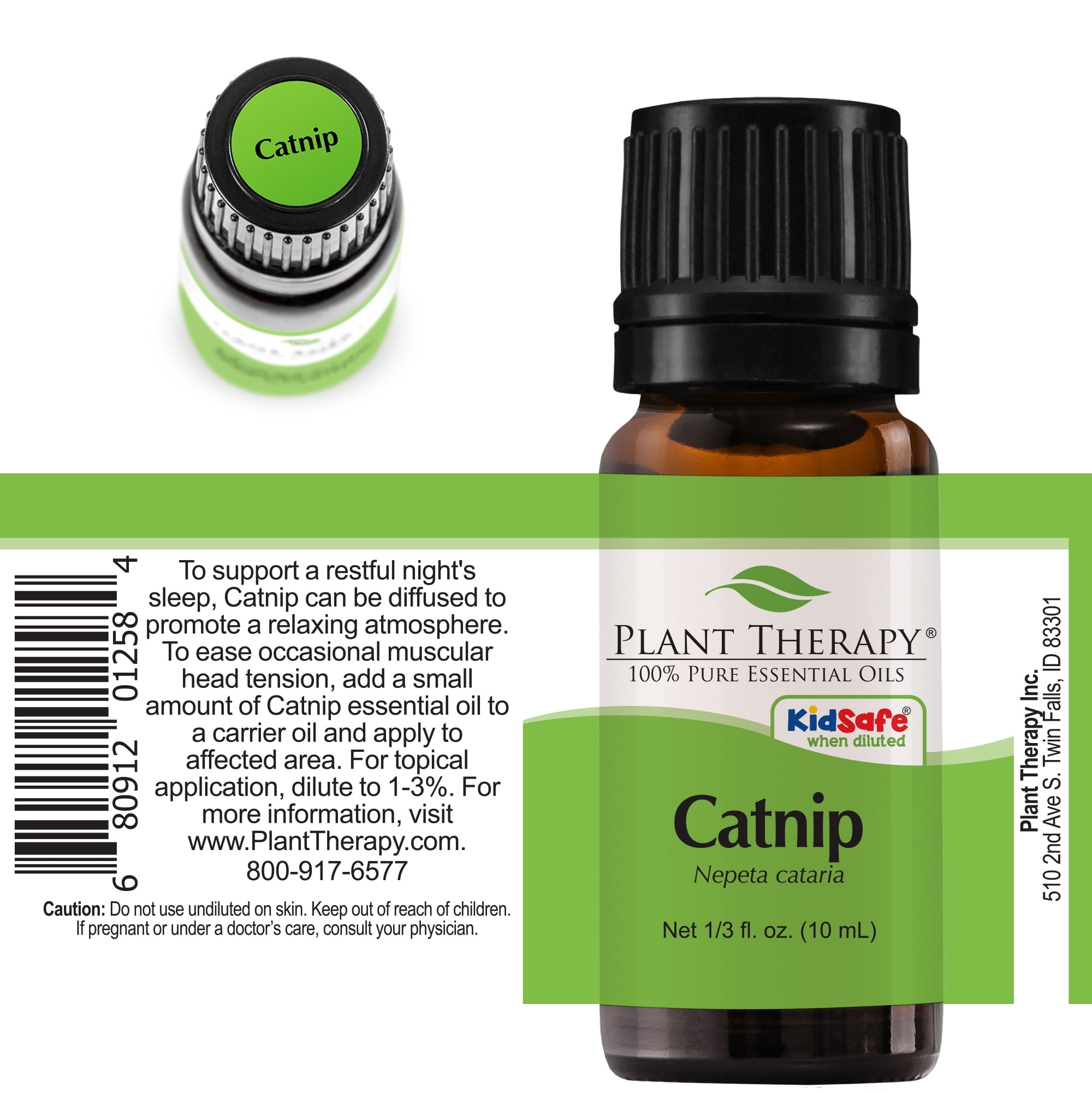 Plant Therapy Catnip Essential Oil 100% Pure, Undiluted, Natural Aromatherapy, Natural Aromatherapy 10 mL (1/3 oz)