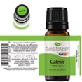 thumbnail image 3 of Plant Therapy Catnip Essential Oil 100% Pure, Undiluted, Natural Aromatherapy, Natural Aromatherapy 10 mL (1/3 oz), 3 of 5