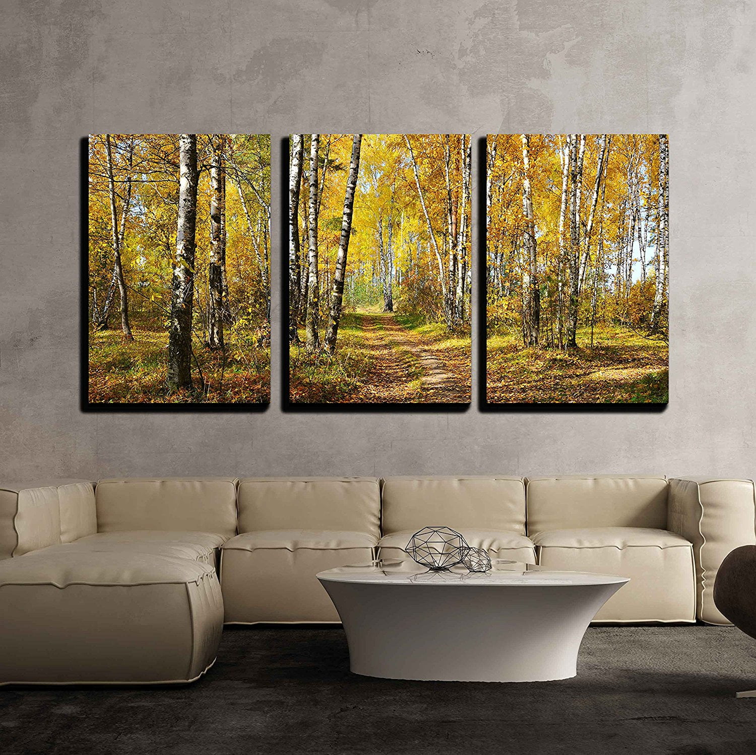 wall26 3 Piece Canvas Wall Art birch grove in autumn 