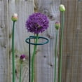 thumbnail image 4 of Cateissary Soporte para plantas, anillo de soporte para flores, estacas de soporte para plantas de Metal, soporte para bonsái, herramienta de jardín para Jardín y Patio 45CM Cateissary HA026291-02, 4 of 6
