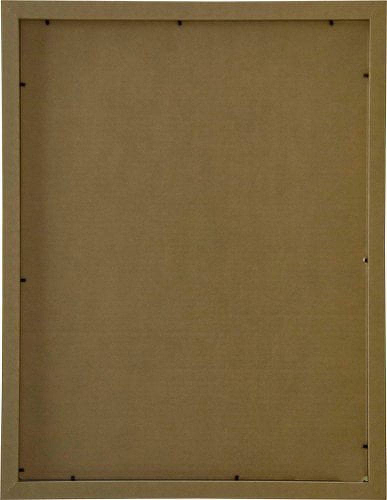 Frame USA Corporate Picture Frame (18-inches x 24-inches)