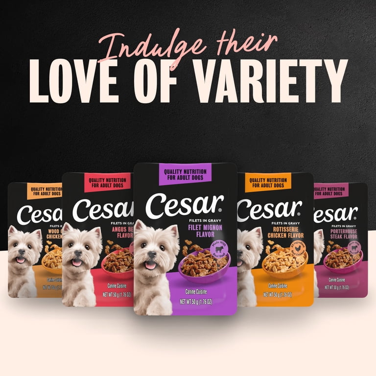 Cesar Filets in Gravy Variety Pack Wet Dog Food, 40 Mini-Pouches photo 6