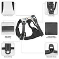 thumbnail image 6 of Fotbe Lilies Flowers Pattern Dog Harness, No-Pull Pet Harness with 2 Leash Clips, Adjustable Soft Padded Dog Vest with Easy Control Handle for Large Dogs-Small, 6 of 6