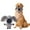 B 4F4, variant on Pet Special Toys Large Small Dog Toys Resistants Dog Toys Indoor Pet Supplies, Xinsrenus Under $5! Pet Special Toys Large Small