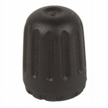 Motorcraft CAP - VALVE (P)