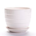 thumbnail image 4 of tredstone 6x Elegant Plant Pots Stylish And Sophisticated Containers For Plants Wide Application Flower Bottle, 4 of 6