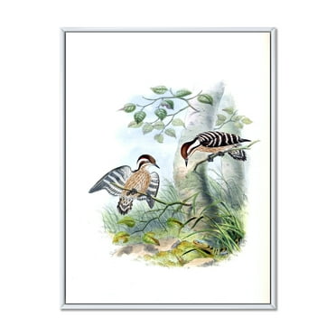 Designart 'Ancient Birds In The Wild I' Traditional Framed Canvas Wall Art Print