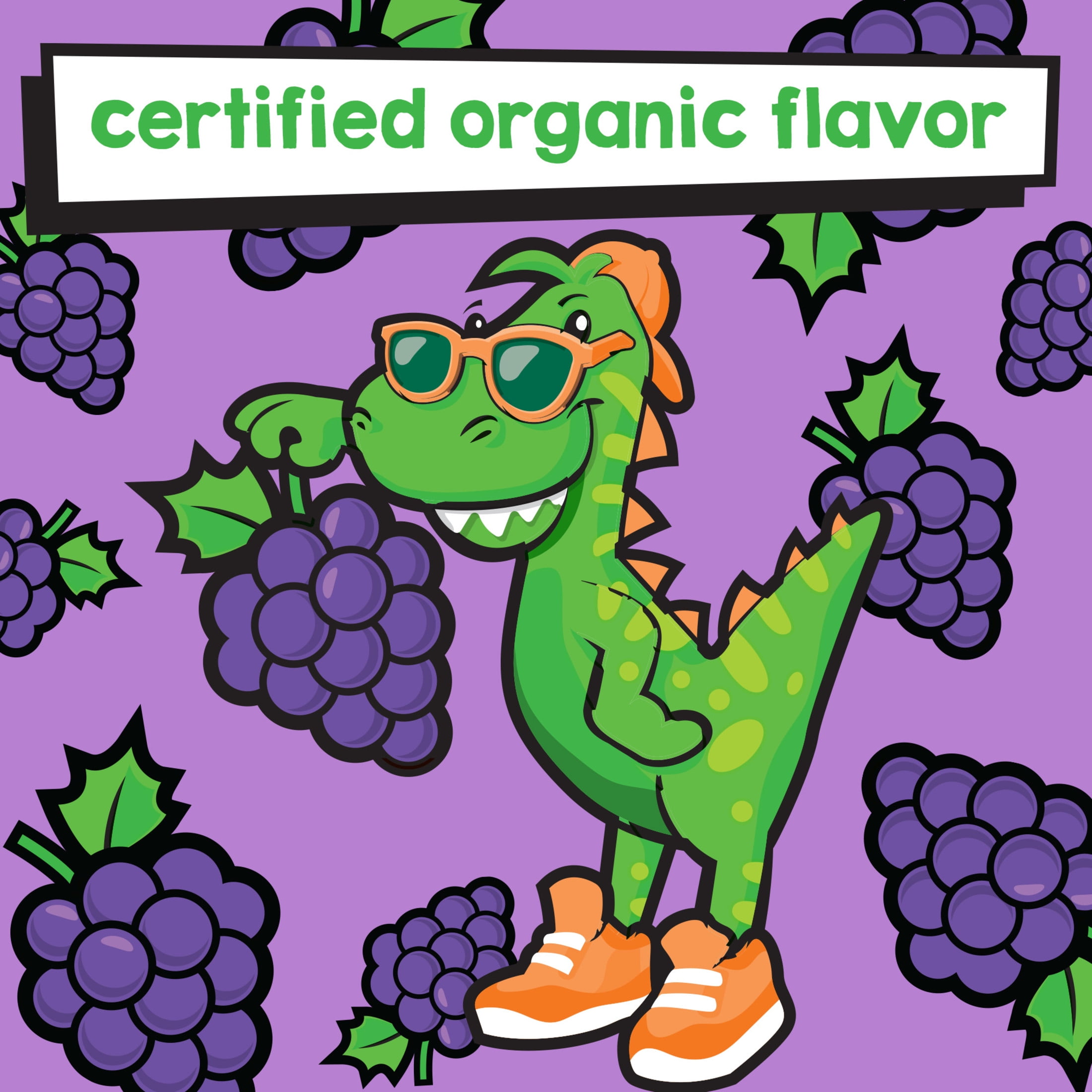 TheraBreath Kids Mouthwash with Fluoride, Organic Grapes Galore, Anticavity, 10 fl oz