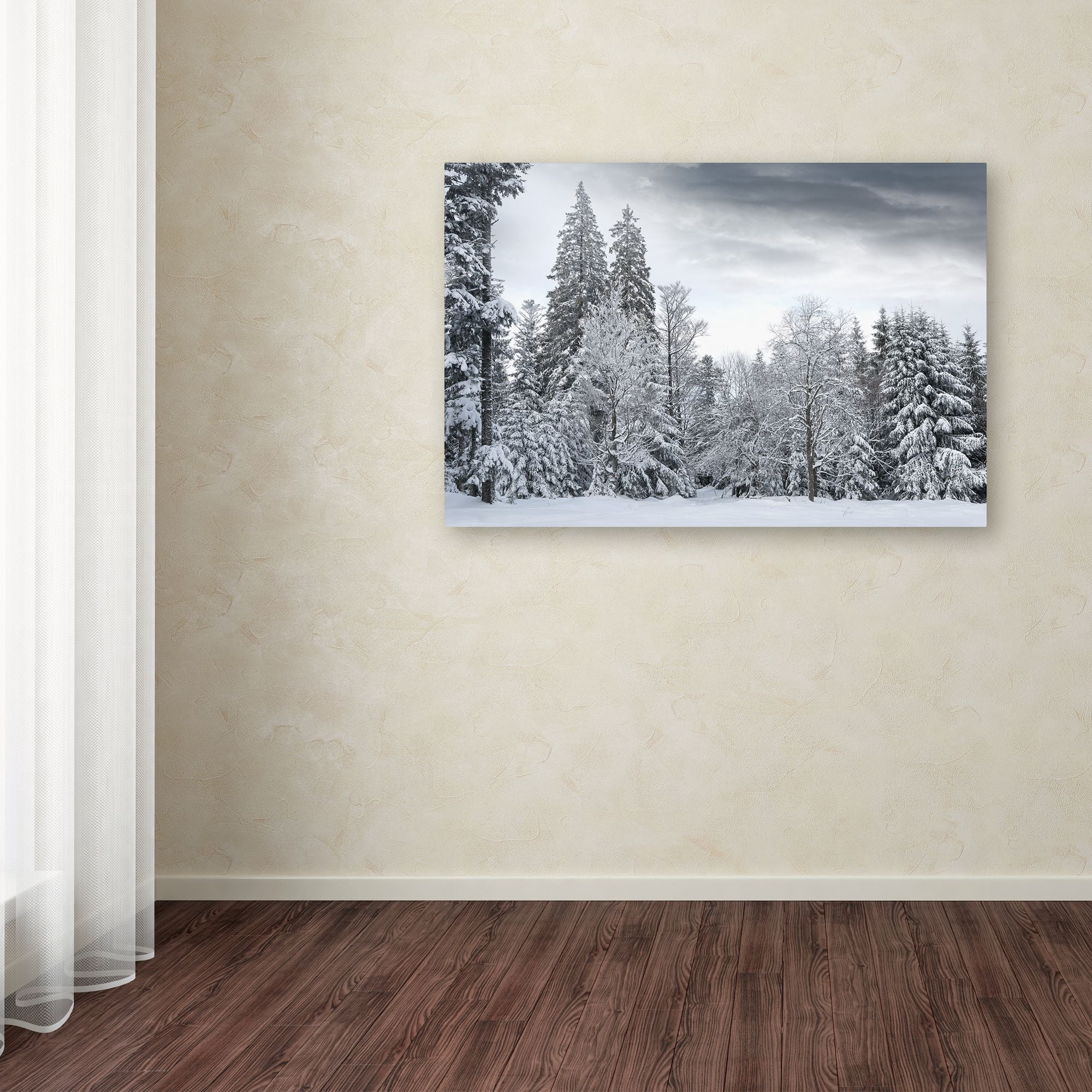 Trademark Fine Art 'We Only Have Forever' Canvas Art by Philippe Sainte-Laudy