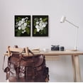thumbnail image 2 of Stupell Industries Bold White Flower Blossoms Graphic Art Black Framed Art Print Wall Art, Set of 2, Design by Regina Moore, 2 of 7