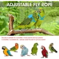 thumbnail image 3 of ShenMo Parrot Carrier (Light Blue M), Adjustable Flight Training Rope for Parrots Parrot Carrier, Nylon Bird Training Rope Set, 3 of 5