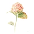 thumbnail image 3 of Gango Home Decor Cottage Floursack Florals on White IV & Floursack Florals on White V by Danhui Nai (Ready to Hang); Two 11x14in White Framed Prints, 3 of 5