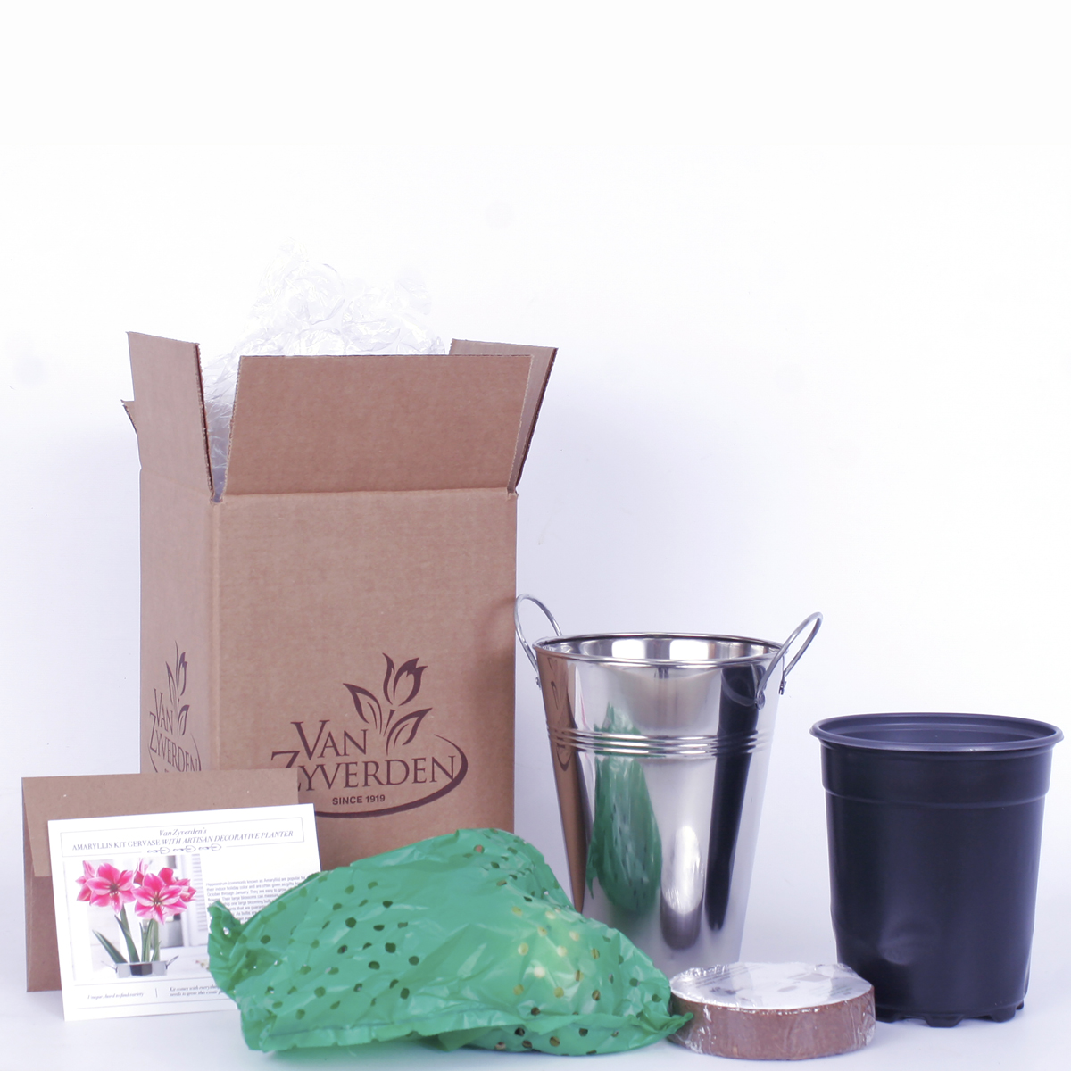 Van Zyverden Amaryllis Kit Gervase with Artisan Decorative Planter Rose Pink Set of 1 Bulb Part Sun