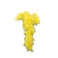 thumbnail image 1 of Minnieouse Disfraz de Hada de plumas extraíble para mujer, vestido elegante desmontable, hermosos accesorios para boda, cumpleaños Disfraces de disfraces Oro, 1 of 6