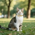 thumbnail image 5 of BKER Collier d'Halloween avec Breloques Mignonnes Réglable Chat & Collier pour Festif, 5 of 5