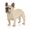 Yellow, variant on Realistic Lifelike French Bulldog Puppy Statue 2.95 Tall Frenchie Figurine Dog Animal Collectible