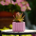 thumbnail image 1 of Minimalist Square Morandi Water Cultivation Succulent Flower Pot For Home Gardening Decor,Flowerpots With Dish Ceramic, 1 of 6