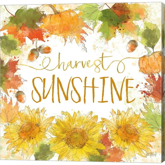 Harvest Splash III by Katie Pertiet, Canvas Wall Art