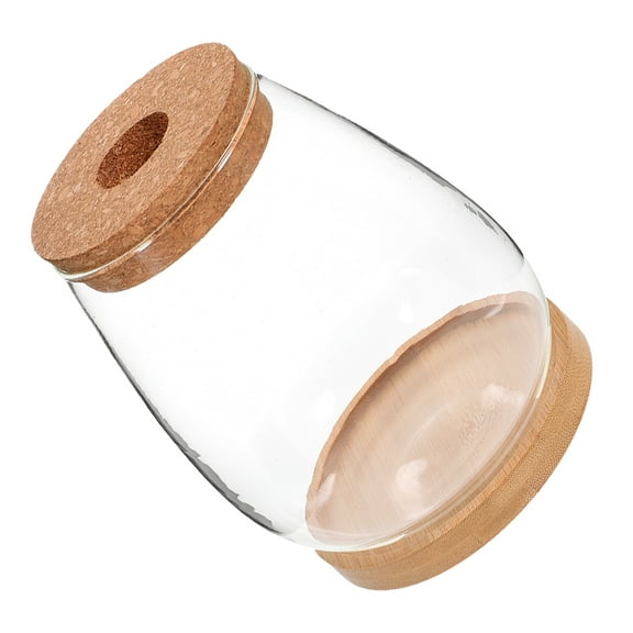 HOMEMAXS Worgeous 1 Set Glass Terrarium Bottle for DIY Flower Plant Micro Landscape Ecological Bottle