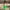 Green, variant on Threaded Pear Cordless Handheld Steam Cleaners