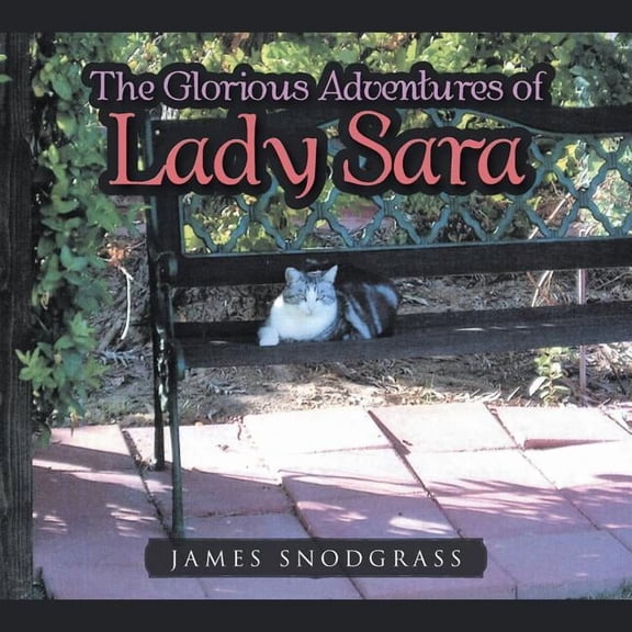 The Glorious Adventures of Lady Sara, (Paperback)