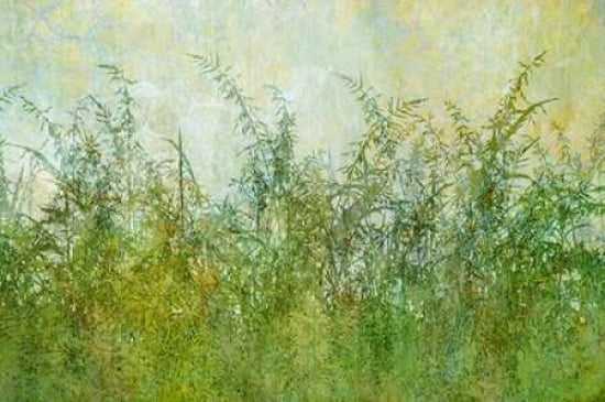 Roadside Grasses -