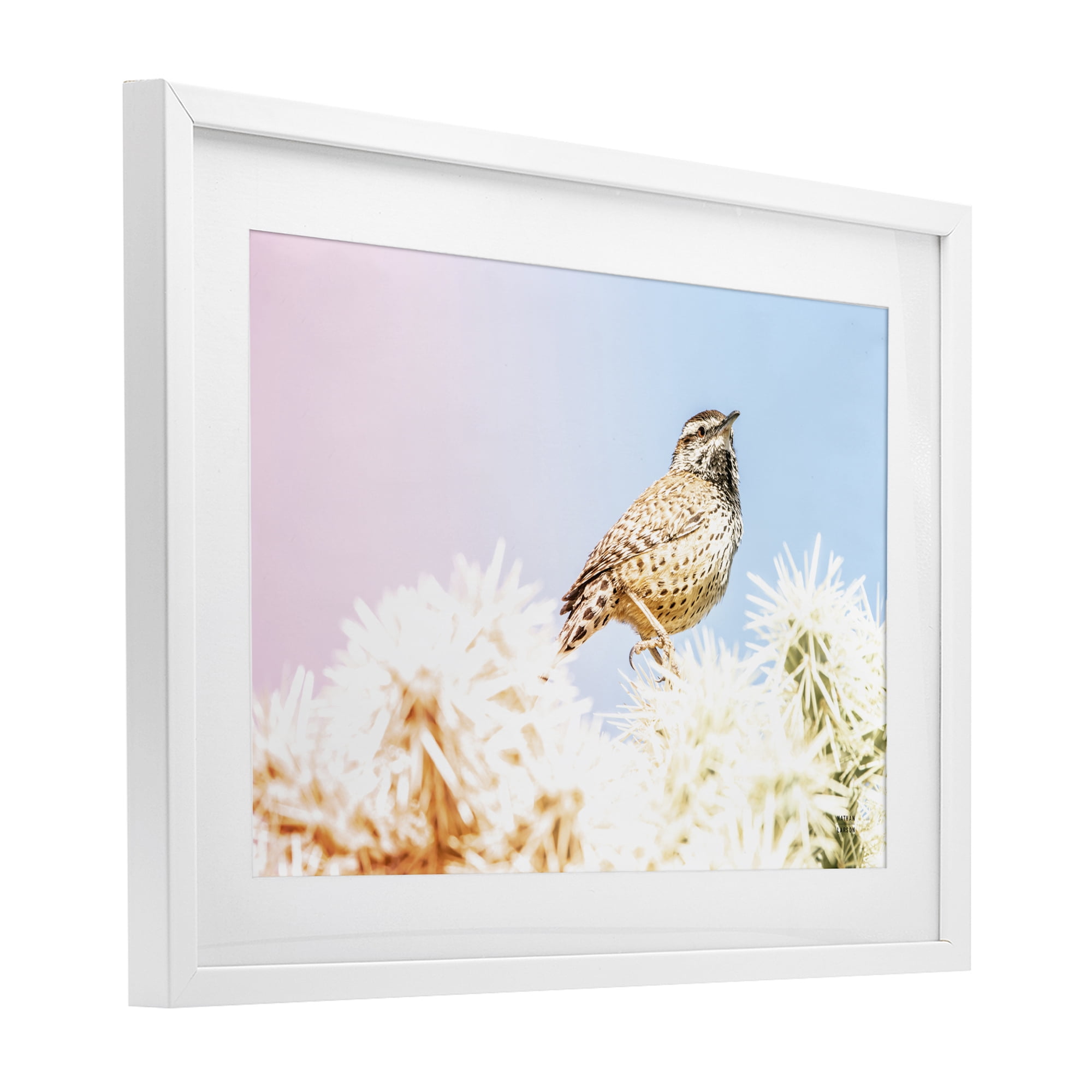 Stupell Industries Desert Song Bird White Framed Print Under Glass, design by Nathan Larson