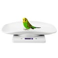 thumbnail image 4 of LHCER 10kg/1g Digital Small Pet Weight Scale for Cats Dogs Measure Tool Electronic Kitchen Scale,Pet Scale,Electronic Scale, 4 of 8
