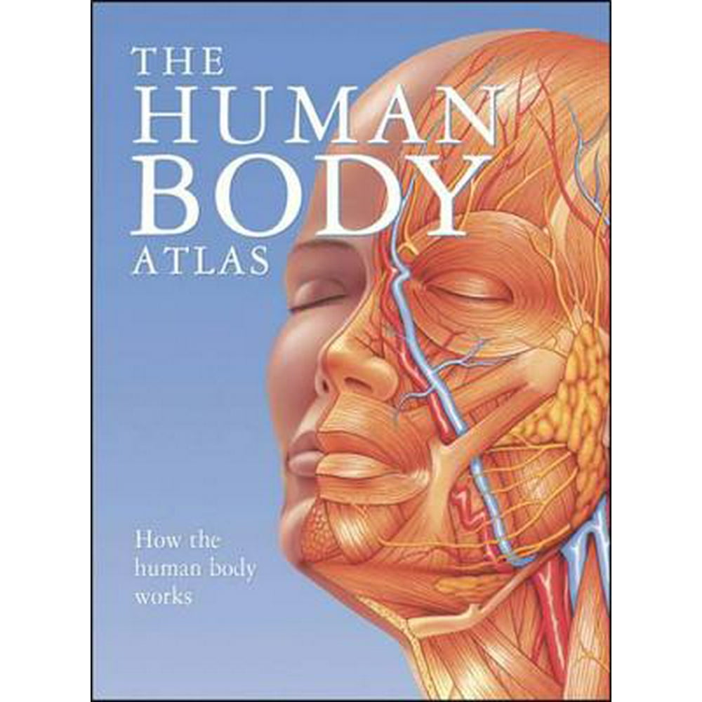 how the human body works essay