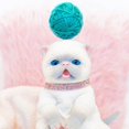 thumbnail image 6 of Paradise Galleries® Adorable Fur-ever Babies, Ping Lau - Sculptor and Artist Designer Doll Collection, 9" Stuffed Animal with Teal Yarn Ball, Special Birthday Gift, Ages 3+ - Balinese Kitten, 6 of 9