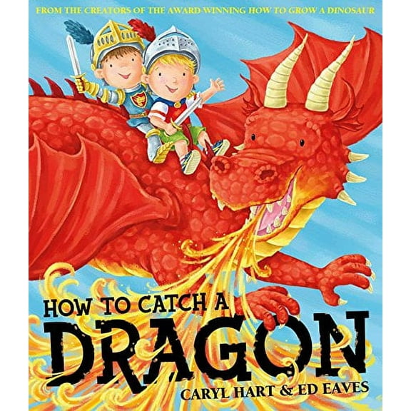 How to Catch a Dragon