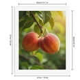 thumbnail image 2 of Paint By Numbers Kit for Adults Beginner - DIY Two Ripe Peaches On Tree Canvas Painting Kits for Adults, Frameless Paint By Number for Adults for Home Wall Decor 16x20 Inch, 2 of 7
