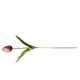 thumbnail image 4 of Bearachild Mini flor artificial, lirio único, tulipán, flor monarca, flor falsa de PU, decoración para el hogar y la Oficina, decoración para Flores artificiales morado oscuro Bearachild HA6563-13B, 4 of 6