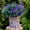 Purple, variant on Viworld Artificial Mums Flowers Outdoor Plastic Plants - 12 Bundles Outside Face Fake Greenery UV Resistant No Fade Faux Shrubs Home Garden Porch Patio Decoration Bundles Office Thanksgiving