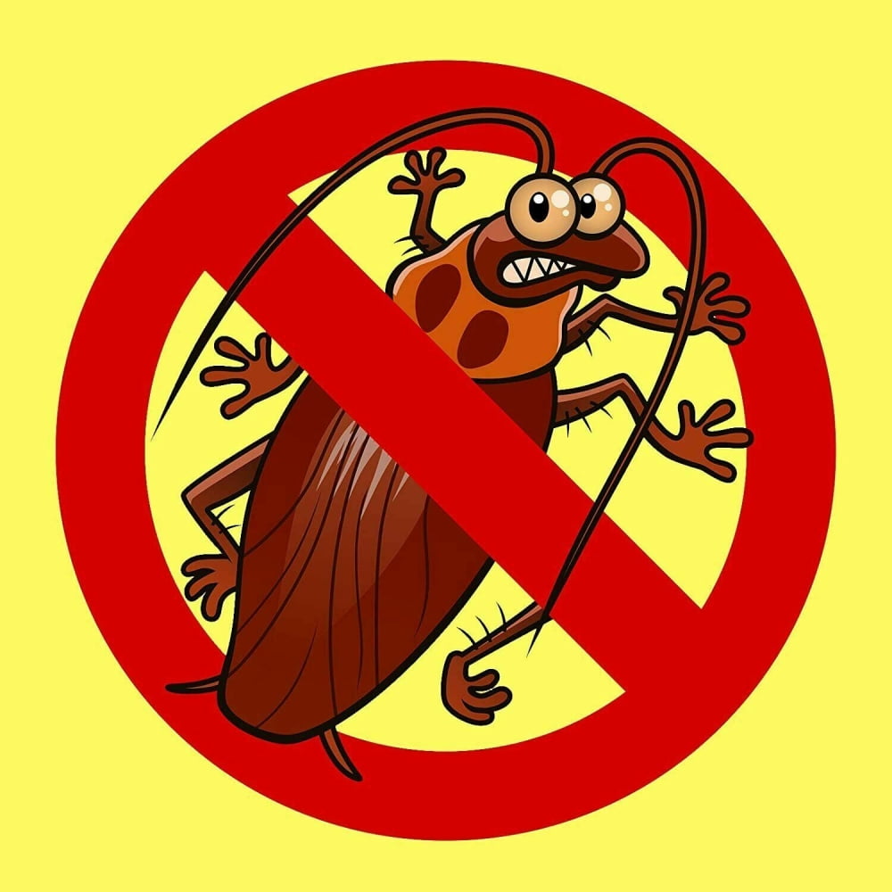 Zap-a-Roach 100 Percent Boric Acid Roach Ant Killer Pest Control 16 oz, 3-Pack