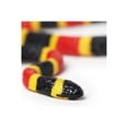 thumbnail image 3 of Safari Ltd. Coral Snake Baby Figurine - Lifelike 10.75" Model Figure - Educational Toy for Boys, Girls, and Kids Ages 3+, 3 of 5